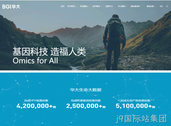 网站案例