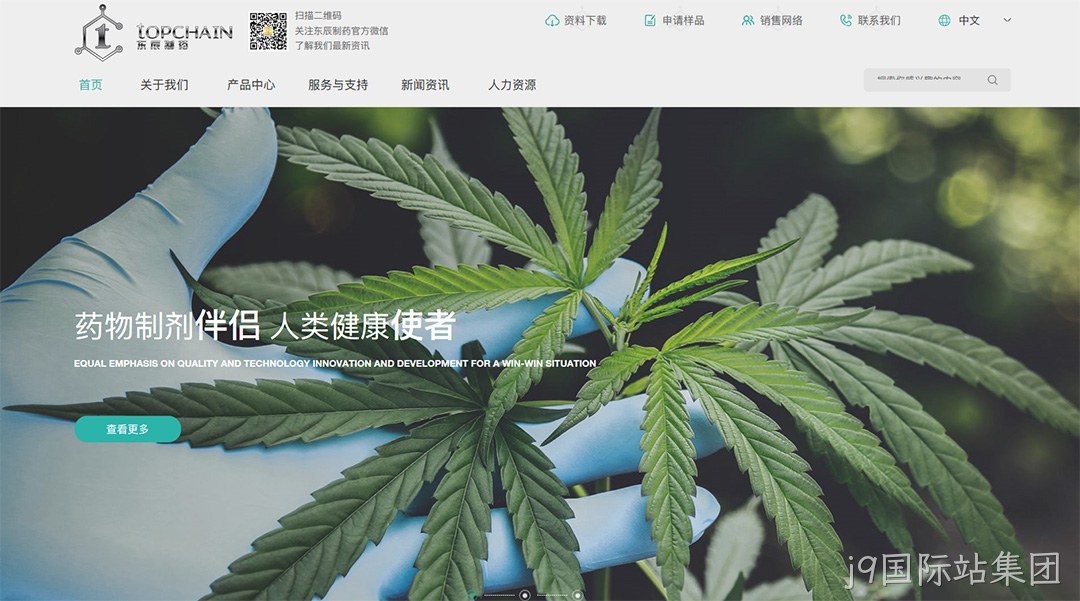 制药公司网站建设