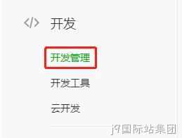 开发管理